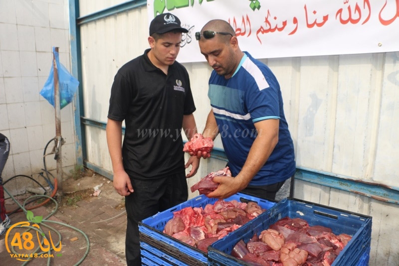 lod8om ada73y (12).JPG